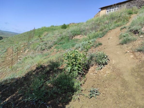 202205140093