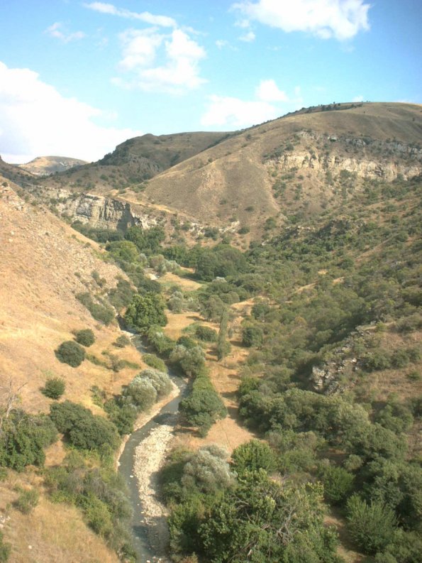 Above Ak-Hoja-429856454