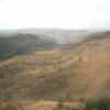 Almonds Planted over Ayi Dere by Syunt Hasardag NP