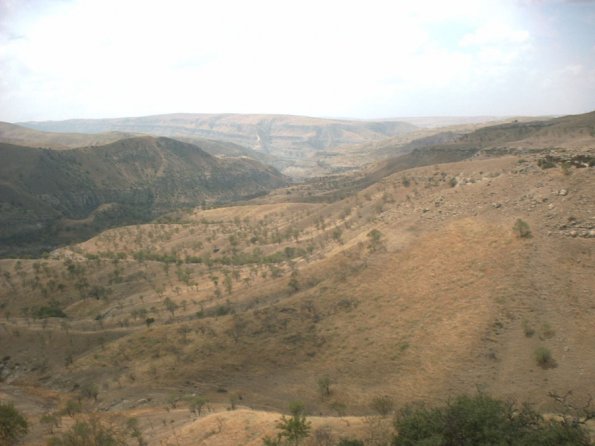 Almonds Planted over Ayi Dere by Syunt Hasardag NP