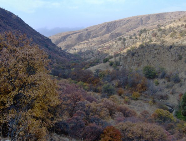 HPIM0977.JPG