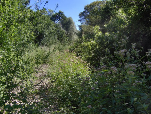 HPIM0880.JPG