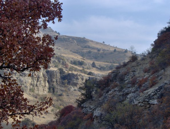 HPIM0980.JPG