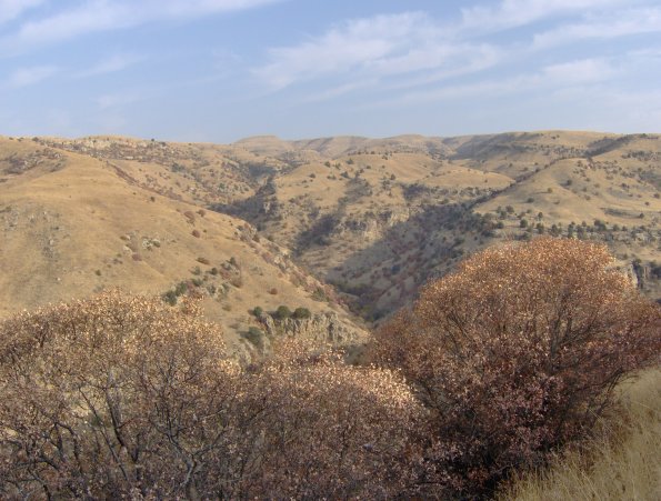 HPIM0961.JPG