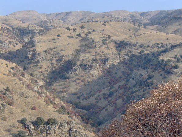 HPIM0962.JPG