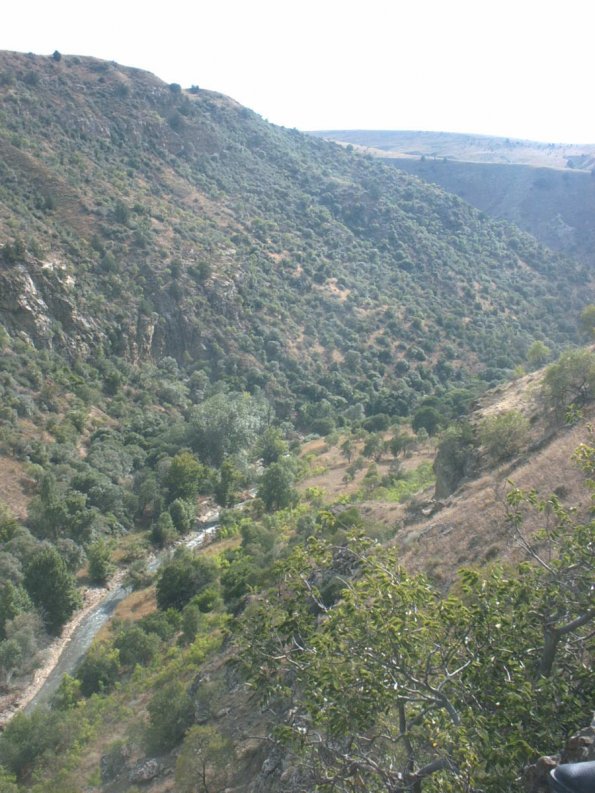 Miraji Forest and Brook