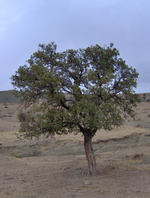 HPIM0450.JPG