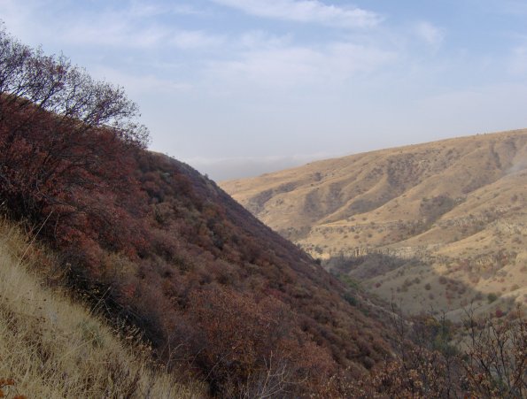 HPIM0974.JPG