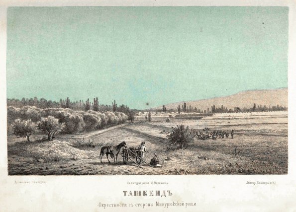 1866 Ташкент Вид со Стороны Минурюкской Рощи Рис Д Велижева