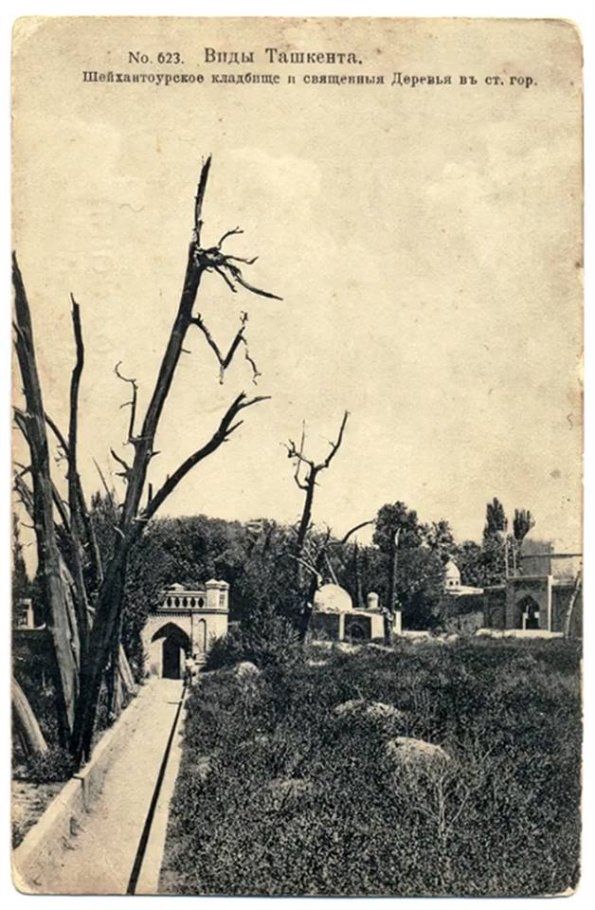 1895 Ташкент Шейцантаурскоке Кладбище