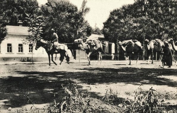 1900 Ташкент Караван на Куйлюкском Проспекте