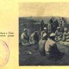 1905 Ташкентский Уезд Суд Биев