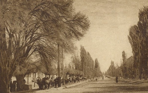 1910 Предпл Ташкент Улица с Тополями