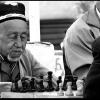 1985 Ташкент Шахматы