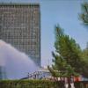 1988 Ташкент Сосны у Фонтанов на Площади Ленина