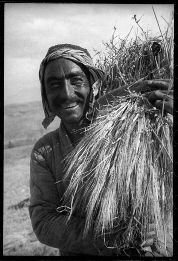 1940 Uzbekistan Wheat Penson