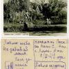 1942 Казахстан Курорт Чимган Почтовая Карточка