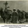 1943 Бухара Караван верблюдов Вабкентского района (Бухара)