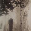 1910 Предпл Ташкент