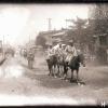 1931 Самарканд Ташкентская Улица в Базарный День 4