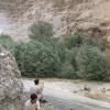Scanning Information:
Imacon 949 with Flextight software v. 4.6
Operator: Jennifer Seal and Steve Morse, Boston Photo Imaging
Film size: 120