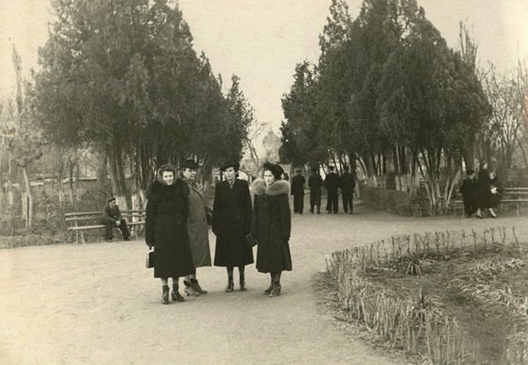 _____._____ 1950 _.