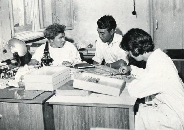 В лаборатории института зоологии Туркменской АН. 1966-й год.