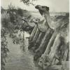 Весна в Каракумах.  Георгий Зельма, 1950-е годы