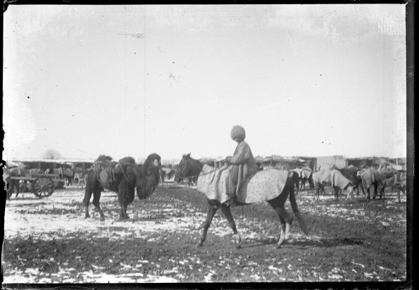 Коллекция стеклянных негативов Константина Дмитриевича Носилова (1858-1923) -5