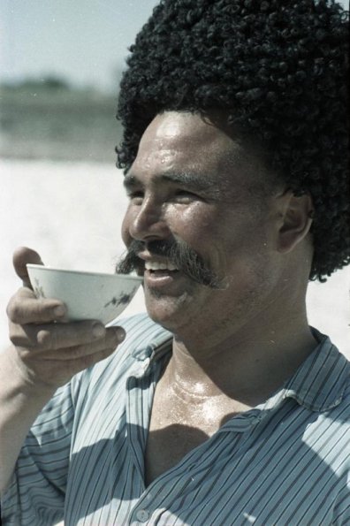 Колхоз имени Тельмана Ташаузской обл. Туркменской ССР. Уборка хлопка. 1965 г.