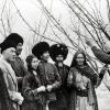На Туркменской опытной станции института растениеводства.  1960-й год