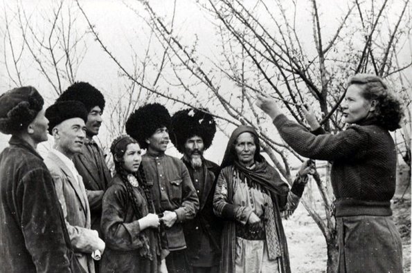 На Туркменской опытной станции института растениеводства.  1960-й год