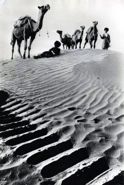 Пустыня.  Фотография Всеволода Тарасевича, 1960-е.