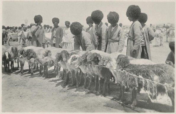 Торговля овцами.  И. Панов, 1928-й год.  Источник - сайт www.russianphoto.ru