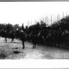 Туркменская бригада, боровшаяся с интервентами. 1920-21-е годы