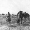 1900 Гюрген Степь у подножия гор