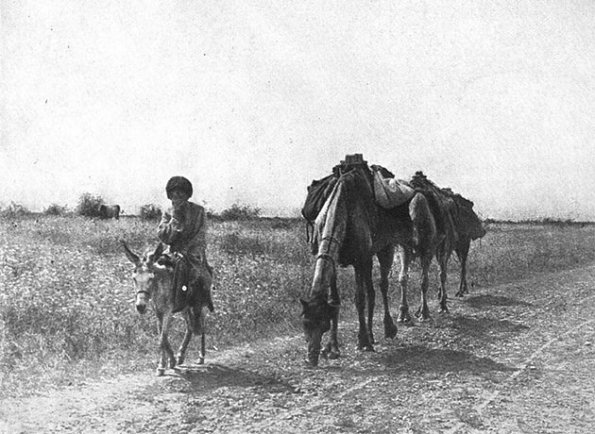 1900 Гюрген Степь у подножия гор