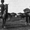 1900 Гюрген Туркменские лошади