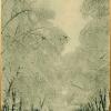 1910 (спорно) Ашхабад Улица Крымская зимой
