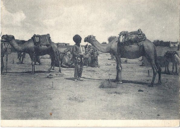 1930 Предпл Туркменистан Верблюд и Хозяин