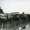 1942 Геок-Тепе Красный караван с хлебом из аулсовета Геокча Ашхабадского района для сдачи государству (1)