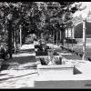 1960-е Ашхабад Двор Дворца Пионеров
