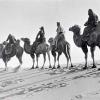 1893 Sven in Desert