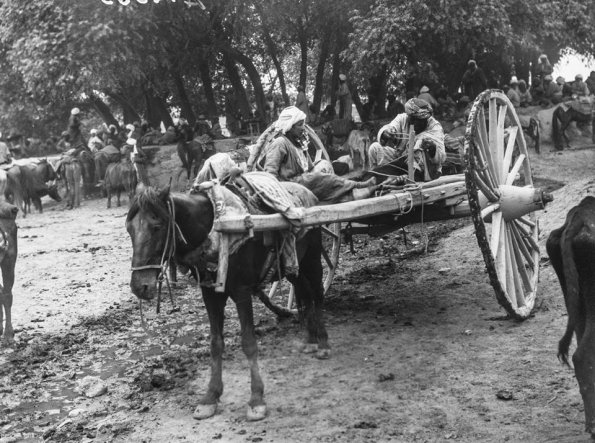 1900 Араба