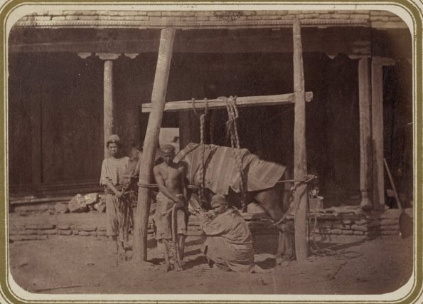1900 Туркестанский Альбом