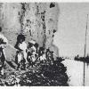 1900 Фото с Подписью Тяжелая Доля Узбекского Народа из Фотоальбома Узбекистан 1984 года