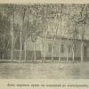 1902 Андижан Землетрясение 3 Декабря Здание Дома Мирового Судьи до Землетрясения