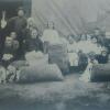1914 Голодная Степь Русские Крестьяне Собранный Хлопок