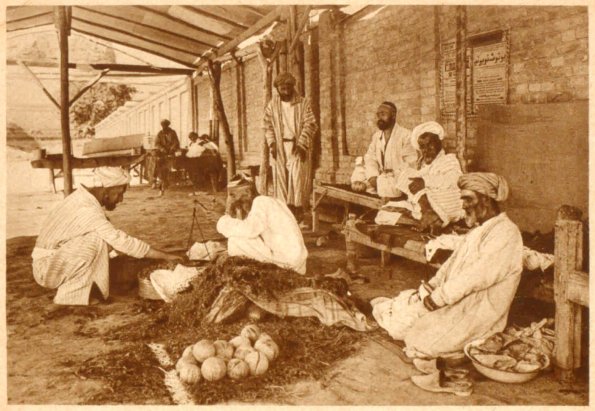1920 Бухара Продажа Урюка (Кураги)