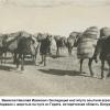 1924 Вавилов Николай Иванович Экспедиция Инст Опт Агр  Белуджистан 1